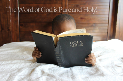 The Word of God is Pure and Holy!